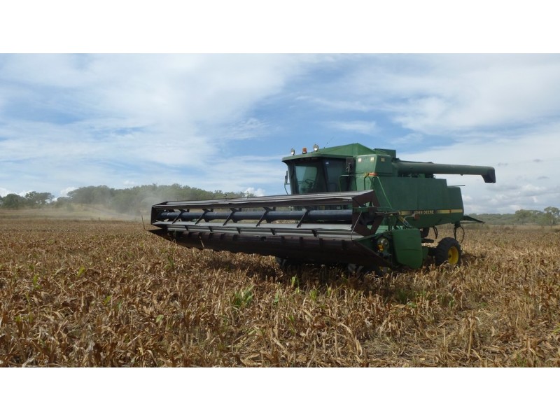 “Hillview” Clearing Sale, Kaimkillenbun QLD 4406