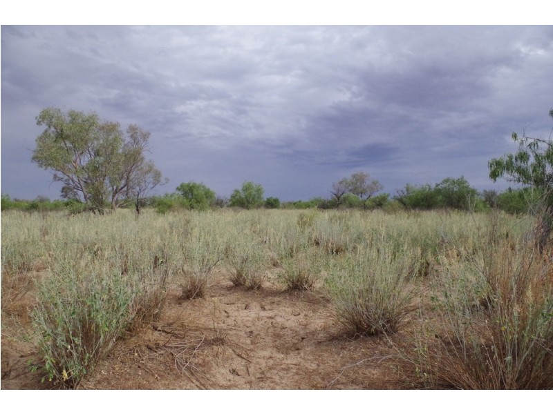 ‘ Burkobulla ‘, Quilpie QLD 4480