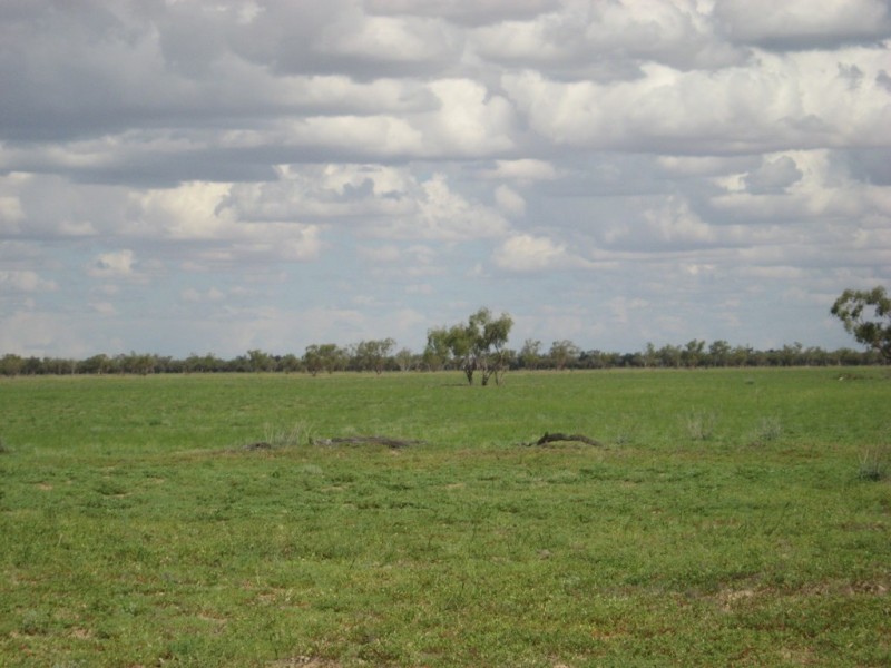‘ Burkobulla ‘, Quilpie QLD 4480