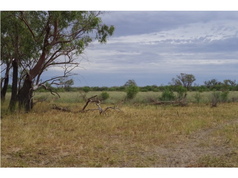 ‘ Burkobulla ‘, Quilpie QLD 4480