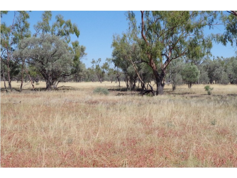 ‘ Burkobulla ‘, Quilpie QLD 4480