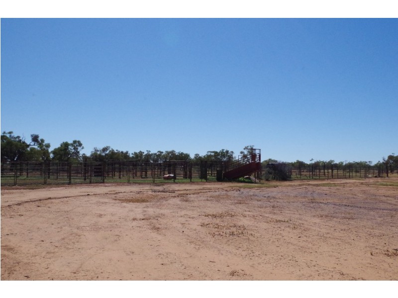 ‘ Burkobulla ‘, Quilpie QLD 4480