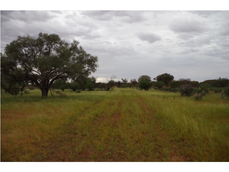 ‘ Burkobulla ‘, Quilpie QLD 4480