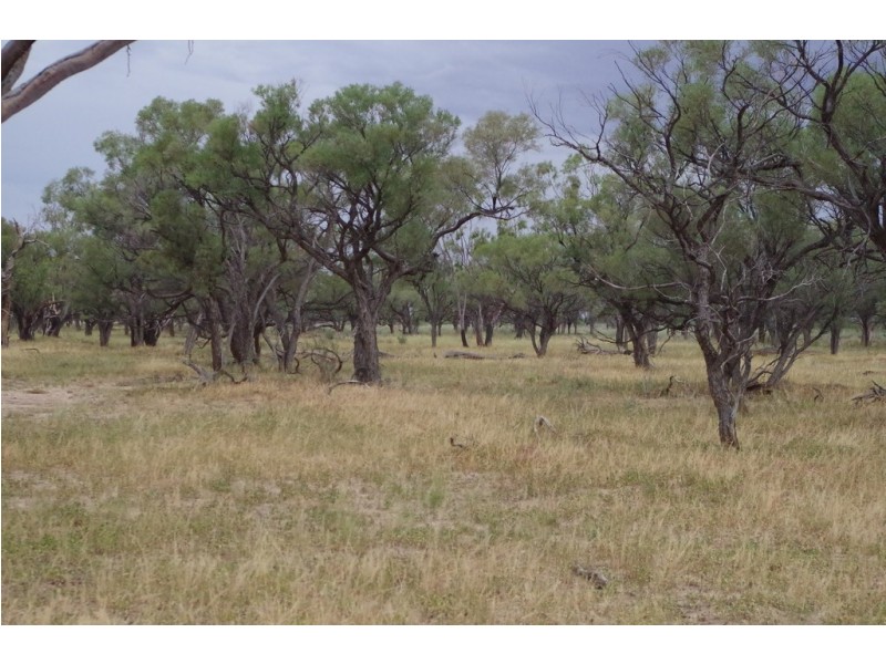 ‘ Burkobulla ‘, Quilpie QLD 4480