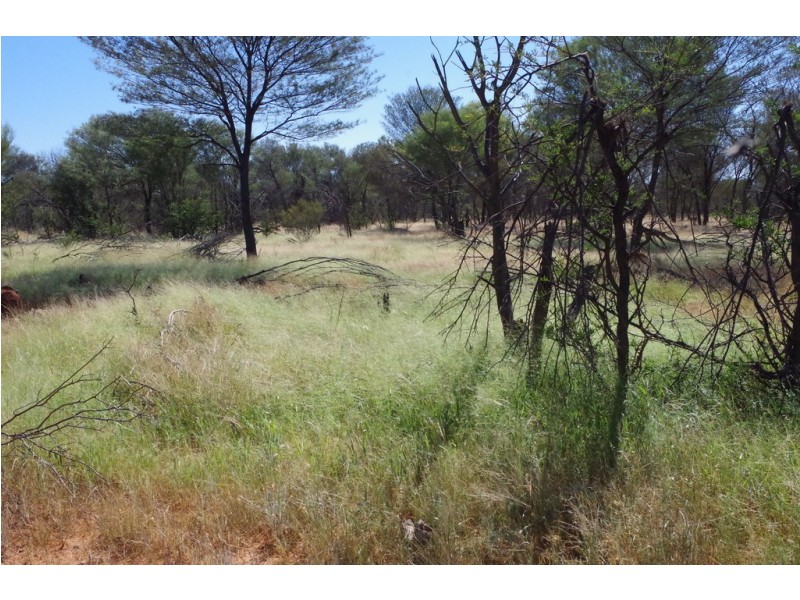 ‘ Burkobulla ‘, Quilpie QLD 4480