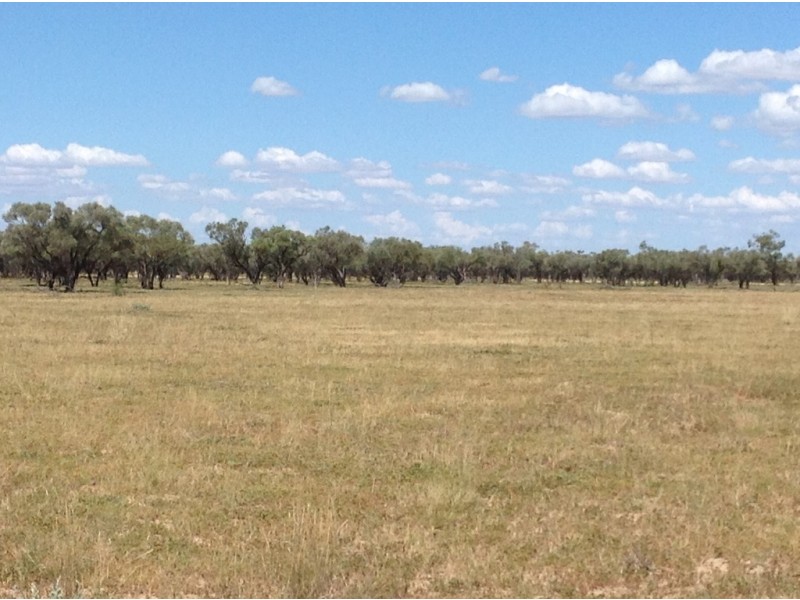 ‘ Burkobulla ‘, Quilpie QLD 4480