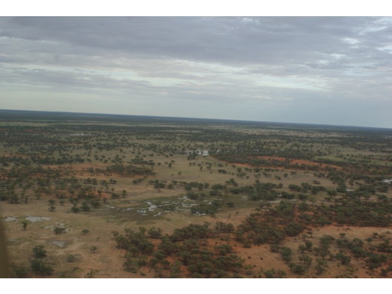 ‘ Burkobulla ‘, Quilpie QLD 4480