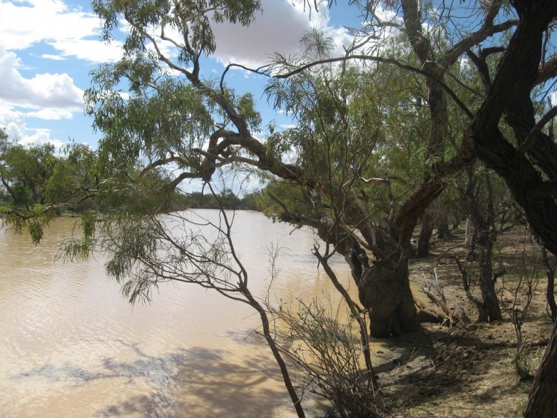 ‘ Burkobulla ‘, Quilpie QLD 4480