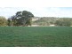 62 MARRIAGES ROAD, North Maclagan QLD 4352