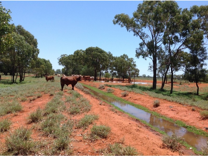 ” Cashmere West”, St George QLD 4487