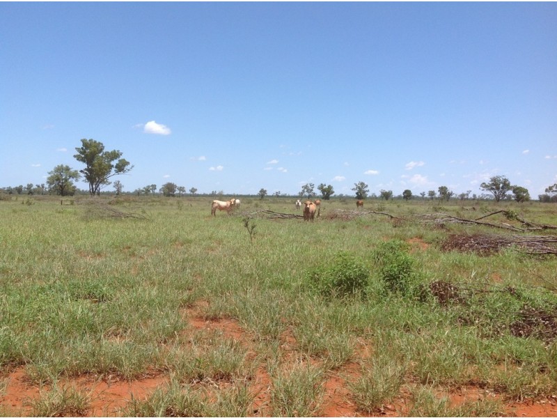 ” Cashmere West”, St George QLD 4487
