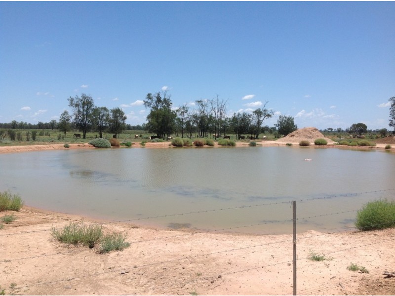 ” Cashmere West”, St George QLD 4487