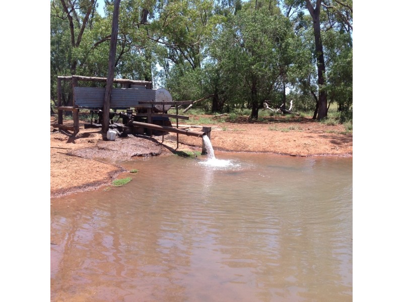 ” Cashmere West”, St George QLD 4487