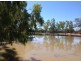 ” Wollambi “, Meandarra QLD 4422
