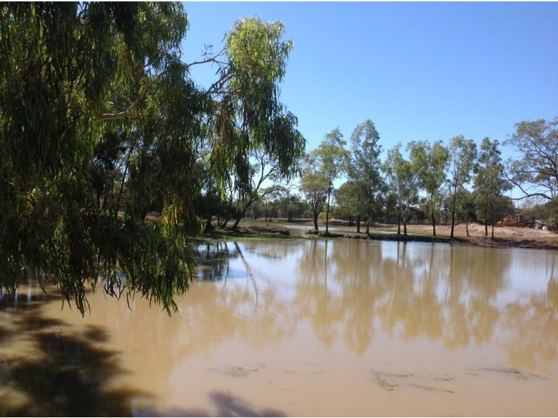 ” Wollambi “, Meandarra QLD 4422