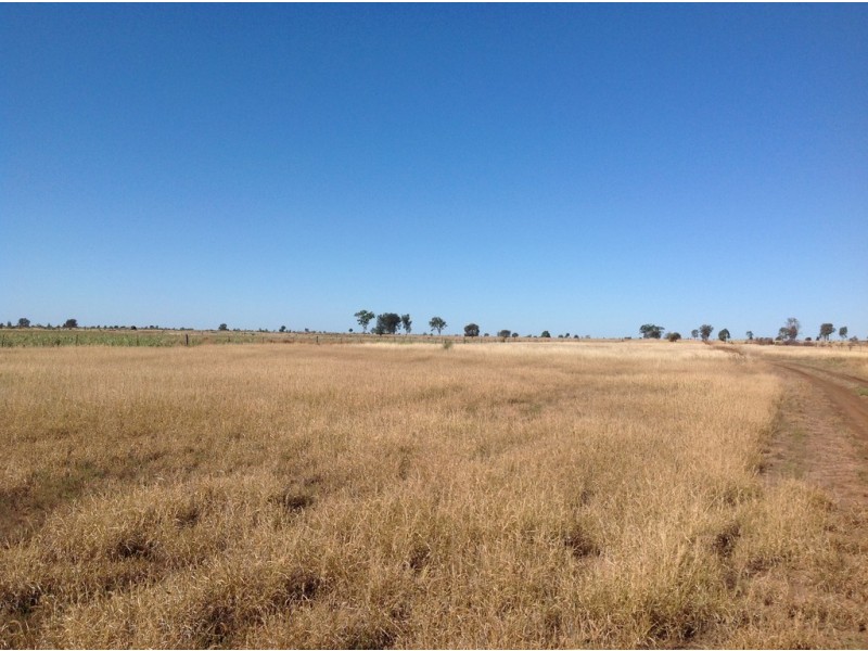 ” Wollambi “, Meandarra QLD 4422