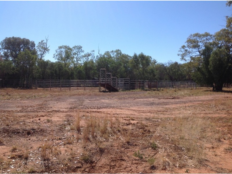 ” Wollambi “, Meandarra QLD 4422