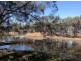 ” Wollambi “, Meandarra QLD 4422
