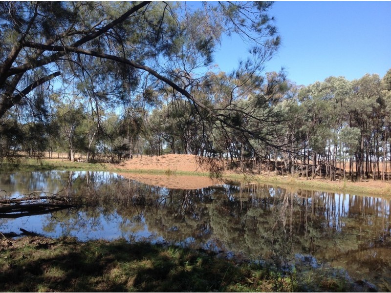 ” Wollambi “, Meandarra QLD 4422