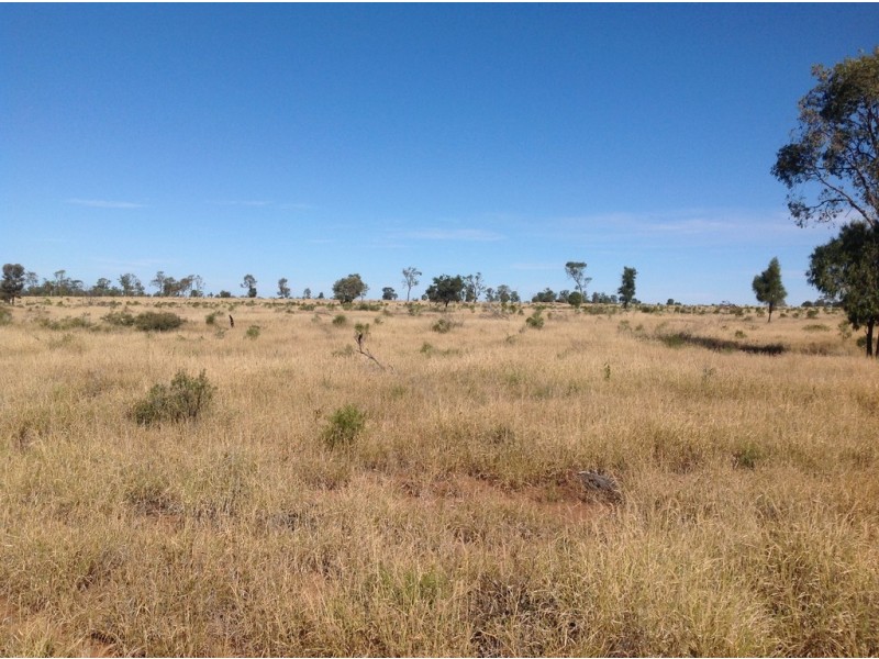 ” Wollambi “, Meandarra QLD 4422