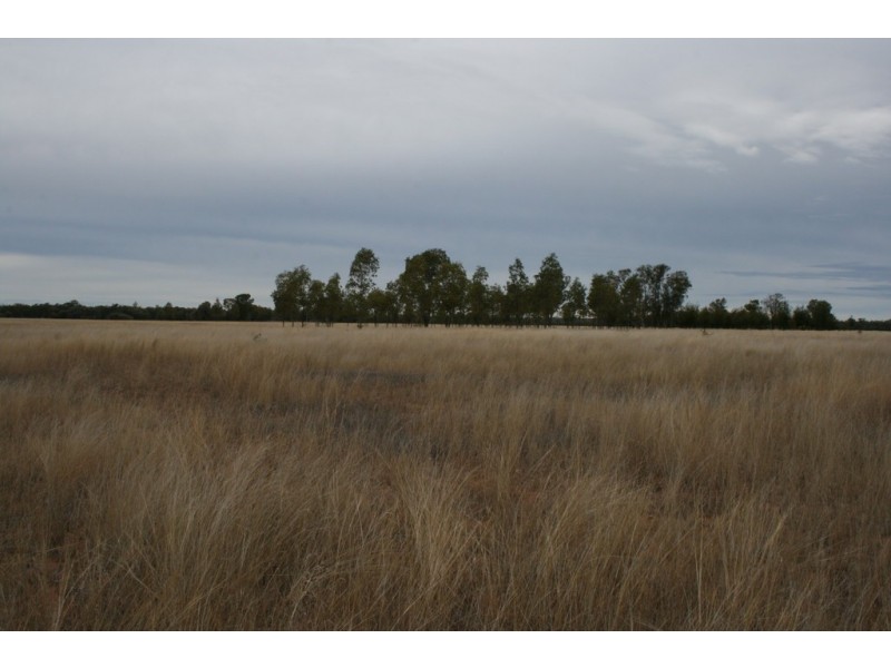 334 Mathews Road, Miles QLD 4415