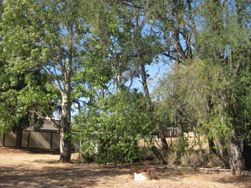 38 Hutton Street, Taroom QLD 4420
