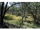 Lot 79 Myall Park Rd, Miles QLD 4415