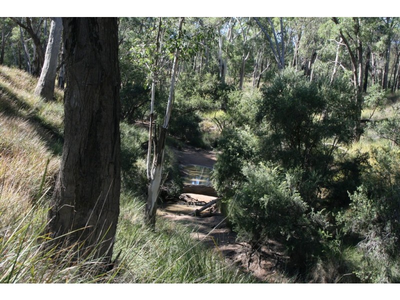 Lot 79 Myall Park Rd, Miles QLD 4415