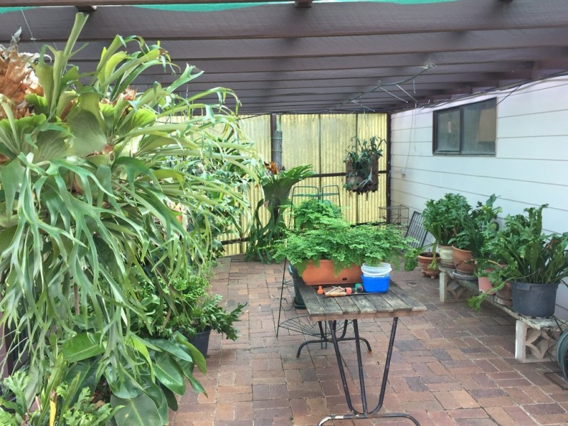 2 Wilkes Street, Dalby QLD 4405