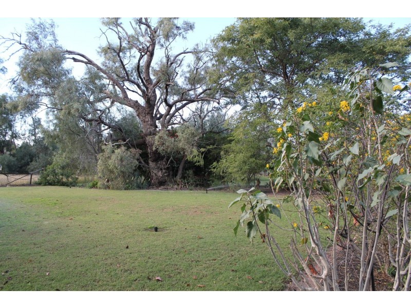 0 Ivan Street, Cunnamulla QLD 4490