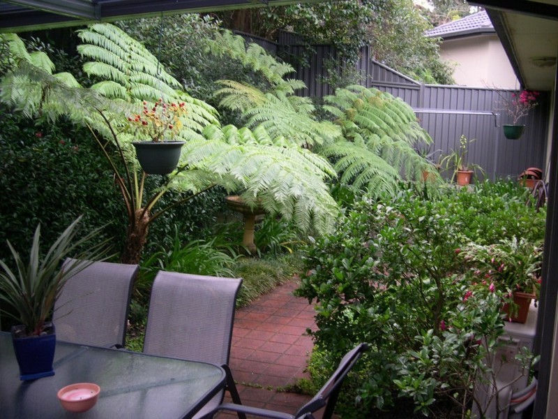 3/126 Glencoe Street, Sutherland NSW 2232