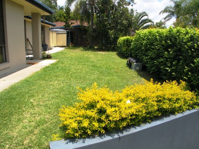 Nerang QLD 4211