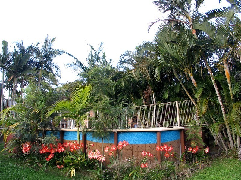 Carrara QLD 4211