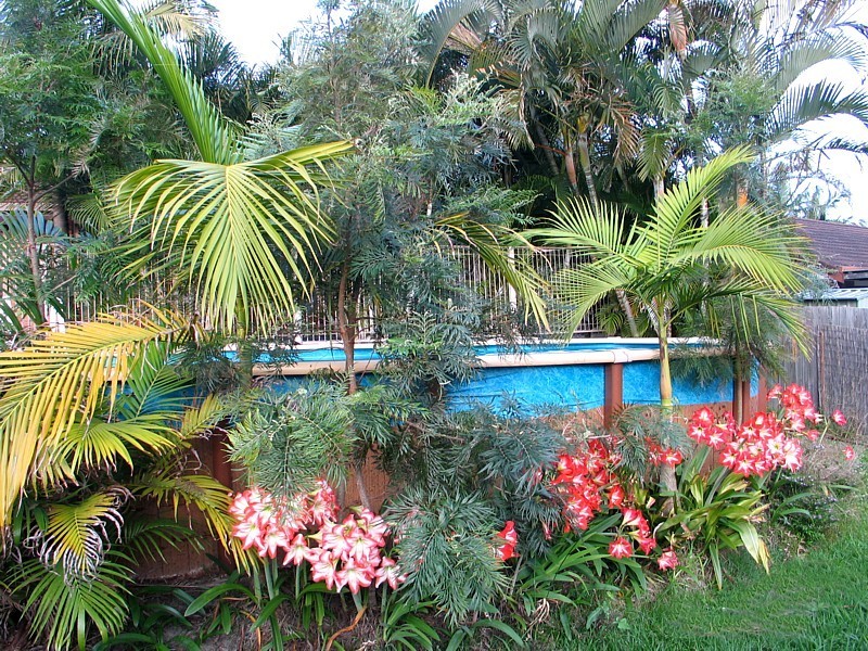 Carrara QLD 4211
