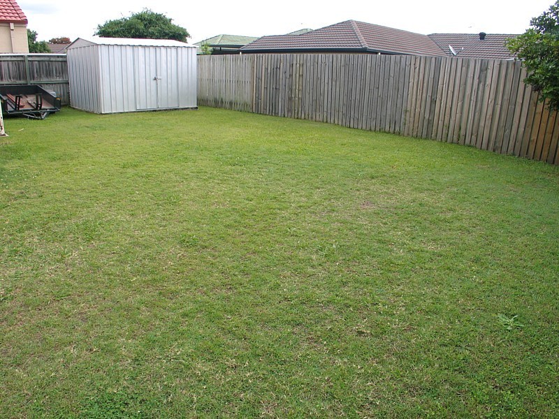 33 Fawn Street, Upper Coomera QLD 4209