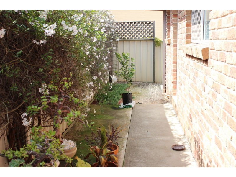 26 Piper Street, Tamworth NSW 2340