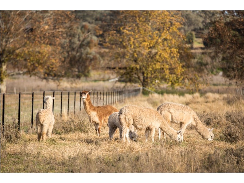 752 NEW ENGLAND HIGHWAY, Nemingha NSW 2340