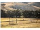 752 NEW ENGLAND HIGHWAY, Nemingha NSW 2340