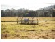 752 NEW ENGLAND HIGHWAY, Nemingha NSW 2340