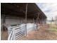 752 NEW ENGLAND HIGHWAY, Nemingha NSW 2340