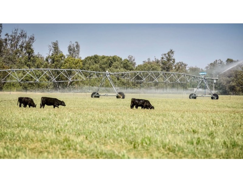 226 Evans Lane, Appleby NSW 2340