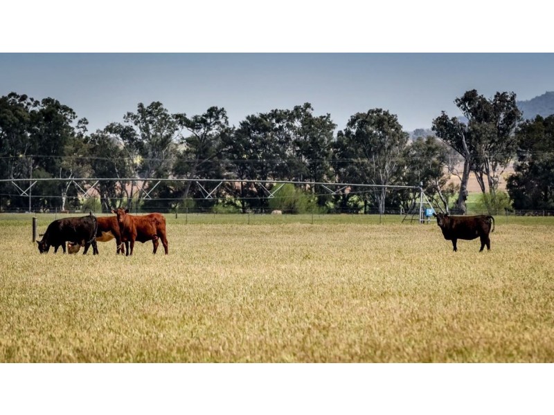 226 Evans Lane, Appleby NSW 2340