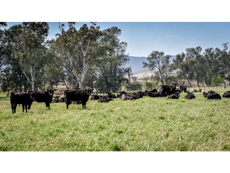 226 Evans Lane, Appleby NSW 2340