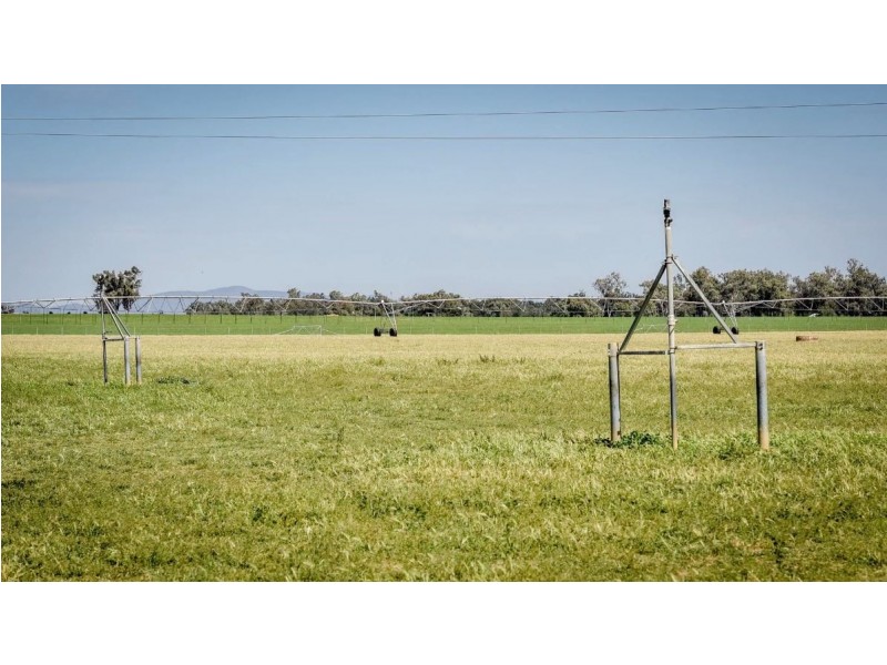 226 Evans Lane, Appleby NSW 2340