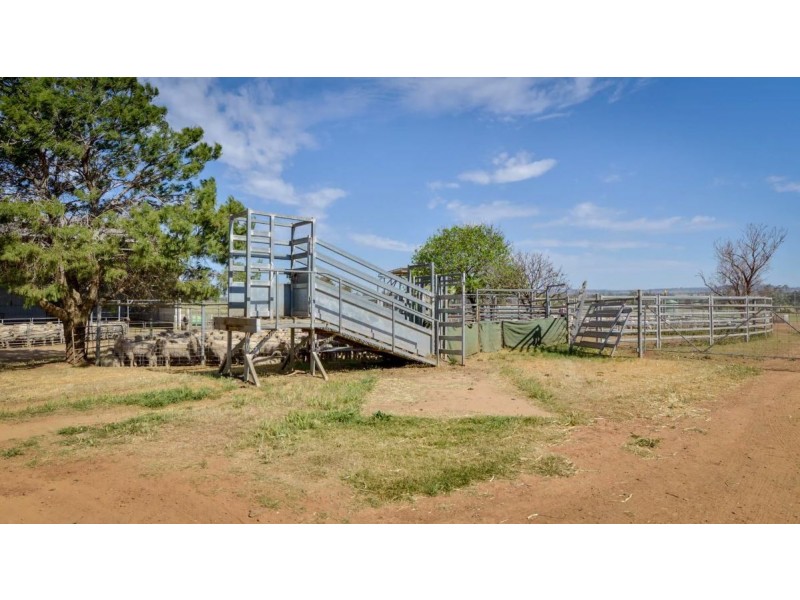 226 Evans Lane, Appleby NSW 2340