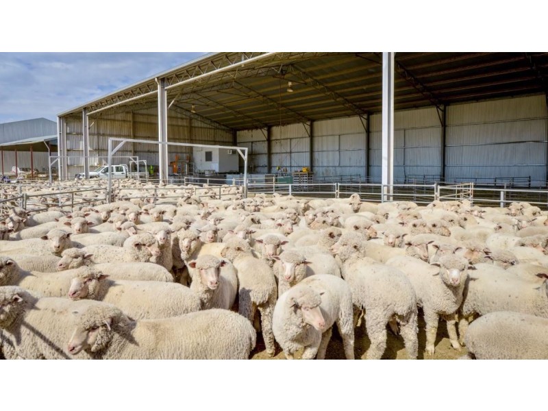 226 Evans Lane, Appleby NSW 2340