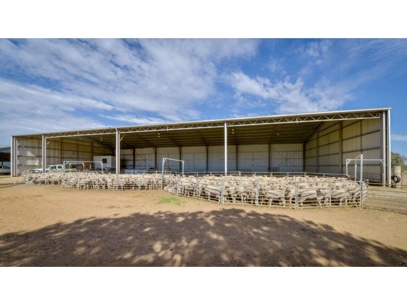 226 Evans Lane, Appleby NSW 2340