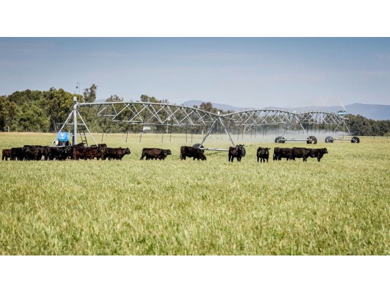 226 Evans Lane, Appleby NSW 2340