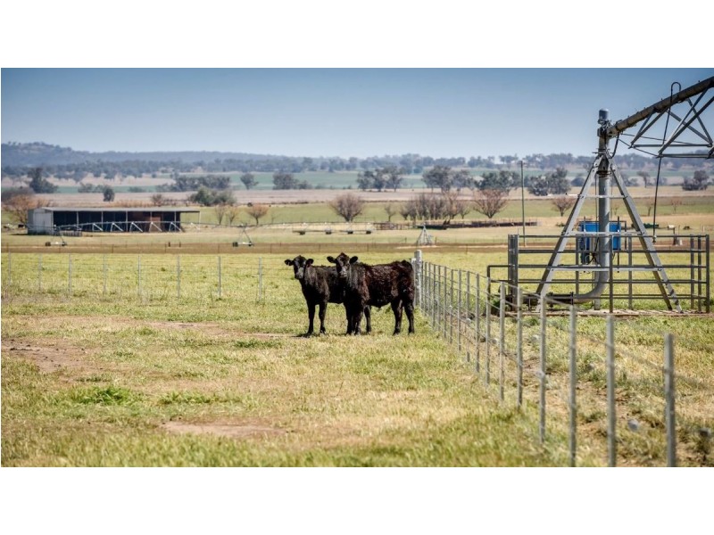 226 Evans Lane, Appleby NSW 2340