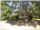 19 Waree Drive, Tamworth NSW 2340